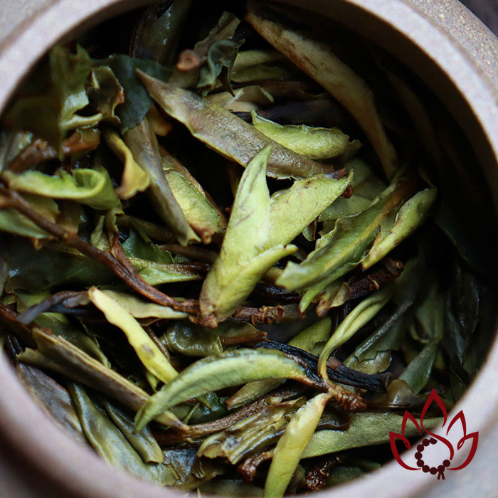 Bạch Trà Cổ Thụ Hoang Dã Vân Nam | 100 gram